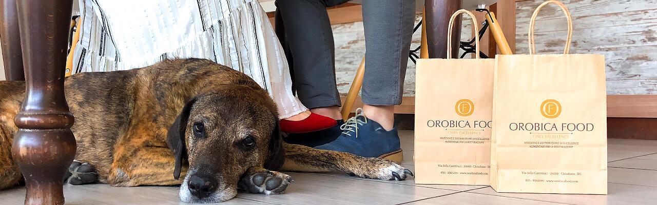 Cane al ristorante in un ristorante con accanto le doggy bag Orobica Food, simbolo di rispetto per il cibo e accoglienza pet-friendly.