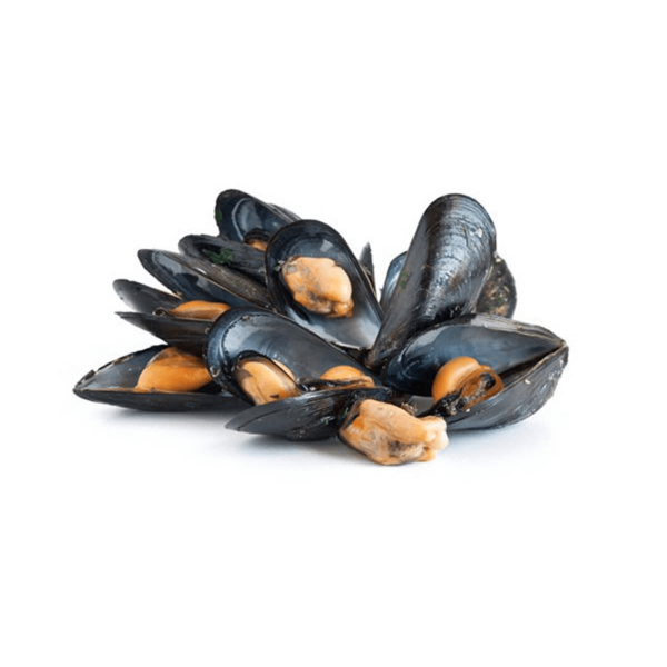 Moules à coque