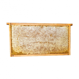 Flower honey in a rectangular honeycomb